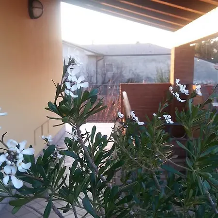 Szálloda Tolin Ronco allʼAdige