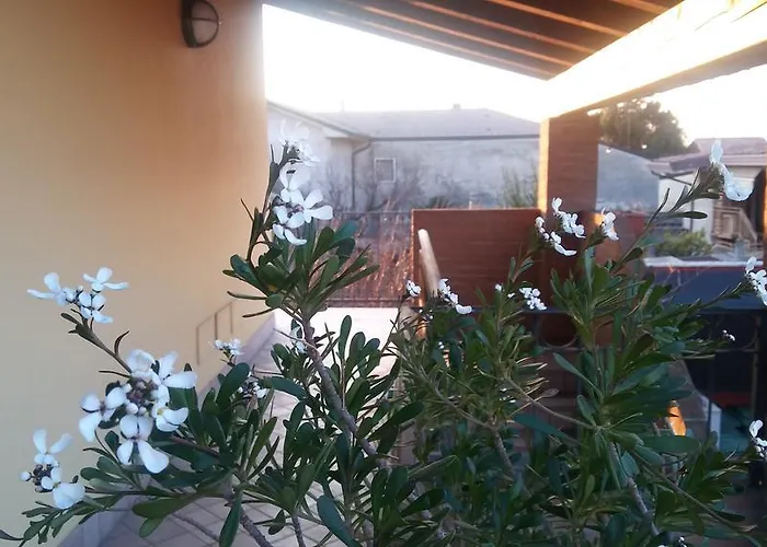 Hotel Tolin Ronco allʼAdige